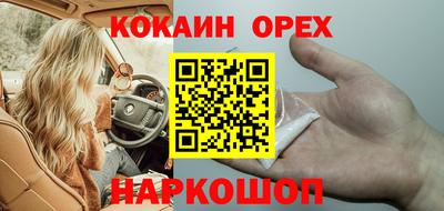 шишки Брянск