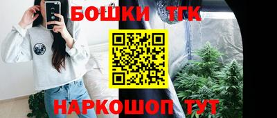 шишки Брянск