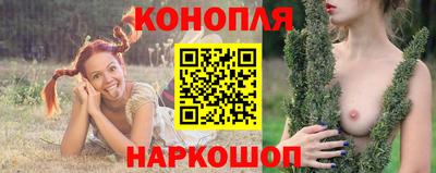 шишки Брянск