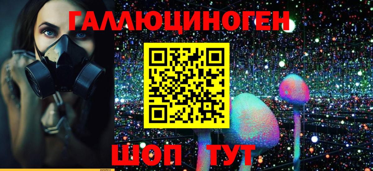 Владимир  Псилоцибиновые грибы Psilocybe  Вход с VPN 