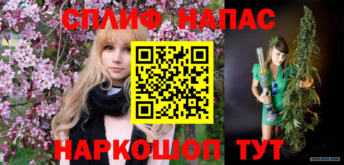 Бошки марихуана OG Kush  Вход с VPN  Конопля план  Владимир  Каннабис марихуана  Бошки марихуана AK-47 